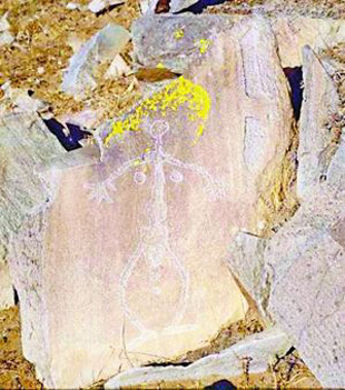 �����첼�һ�